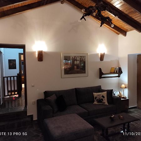 Villa Litheon House Synikia Mesi Trikalon Exterior foto