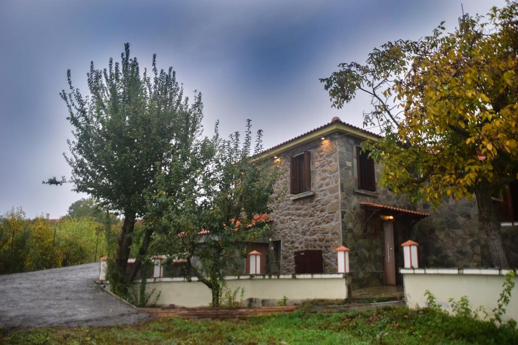 Villa Litheon House Synikia Mesi Trikalon Exterior foto